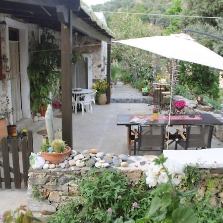 Olga'S Traditional Stone House, Palaiochora Kondokinigi Bagian luar foto