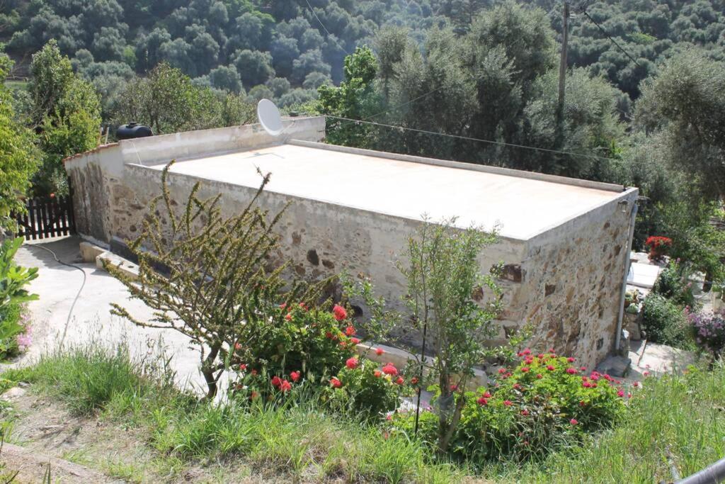 Olga'S Traditional Stone House, Palaiochora Kondokinigi Bagian luar foto