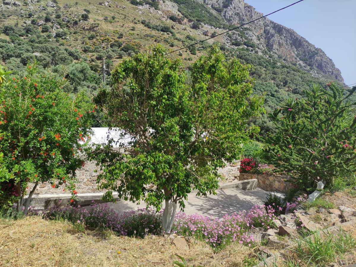 Olga'S Traditional Stone House, Palaiochora Kondokinigi Bagian luar foto